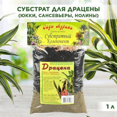 Грунт для драцены, юкки, нолины, кордилины, сансевьеры, набор субстратных компонентов Сады Аурики 1л 00040003159 - фото 63937