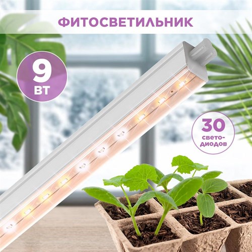 Светильник для растений, фитолампа светодиодная линейная, ЭРА FITO-9W-T5-Ra90 полного спектра 9 Вт, длина 57см F0000055175 - фото 67916