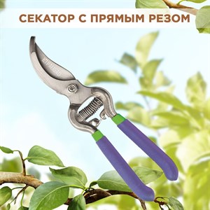Секатор садовый профессиональный, легированная сталь, Palisad, 200мм F0000023963