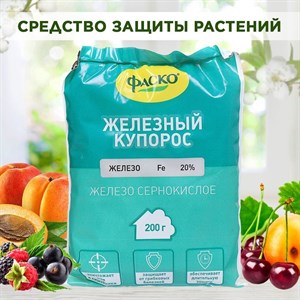 Железный купорос, средство для профилактики и лечения болезней, обработка деревьев и кустарников весной и осенью, Фаско 200 гр 00040005132