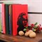 Ограничитель на книжной полке металлический чёрный, Эйнштейн IRONDECOR 705-014B 705-014B - фото 66039