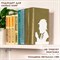 Ограничитель-подставка для книг на полке, металлический белый, Шерлок Холмс IRONDECOR 705-042W 705-042W - фото 67959